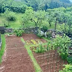 Mira Opatija
